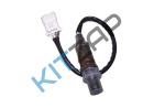 ������ ����������� (������-����)