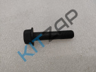 ���� �����������